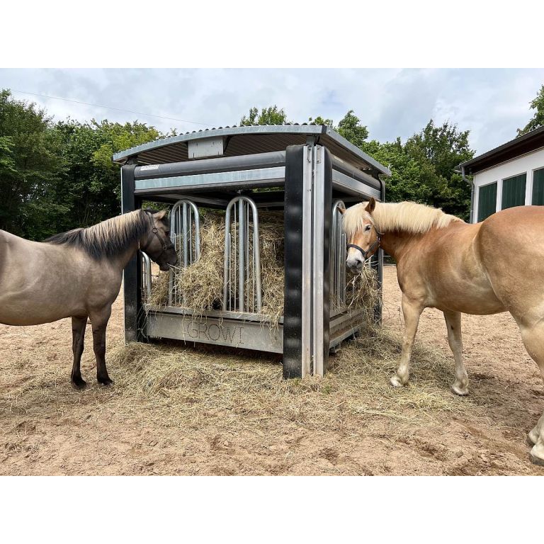 Growi tijdgestuurde hooiruif voor paarden 2x2m 